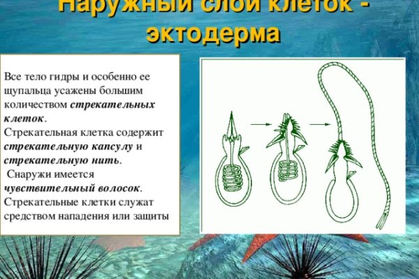 Кракен онлайн