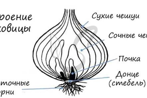 Kraken в россии