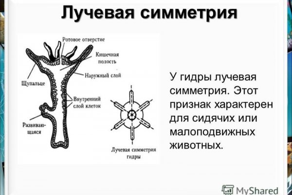 Кракен наркоторговец