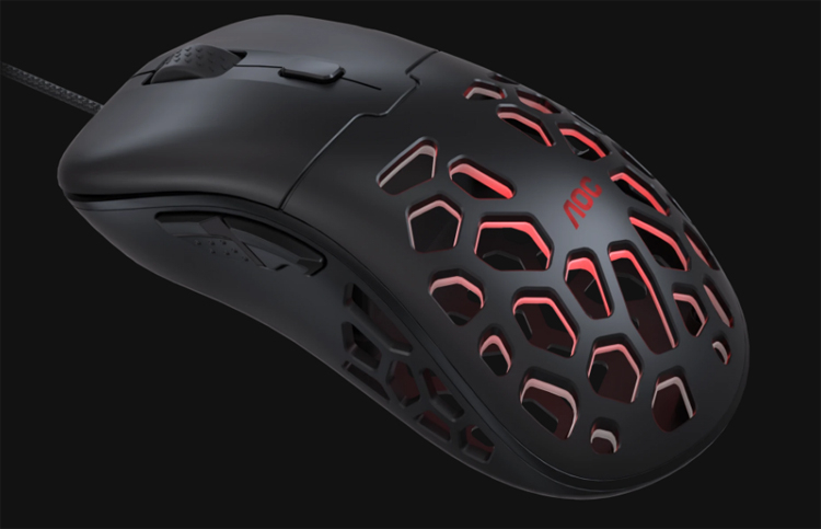 Kraken 20at